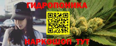 гидра Пушкино