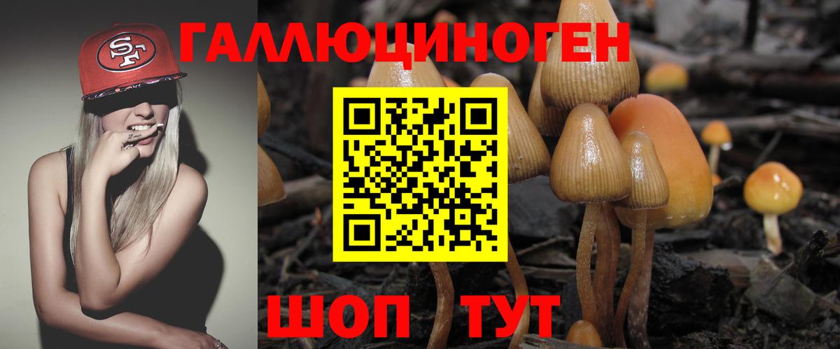 Псилоцибиновые грибы Magic Shrooms Аксай